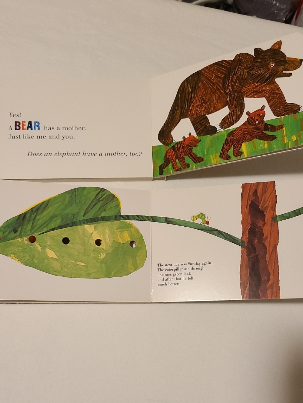 Eric Carle Caterpillar Seahorse Kangaroo Board Books, Jamberry, Lot of 4 - Picture 9 of 13